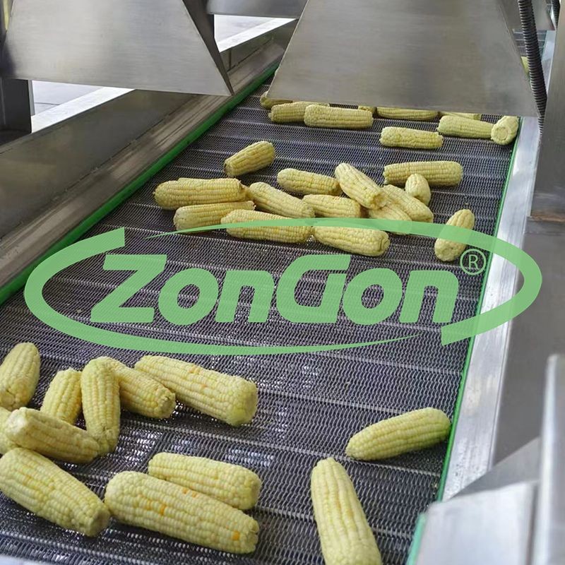 customized corn sterilization production line(001)