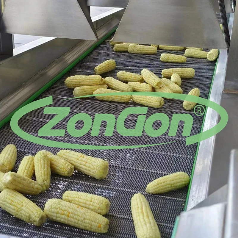 China automatic fresh corn production line