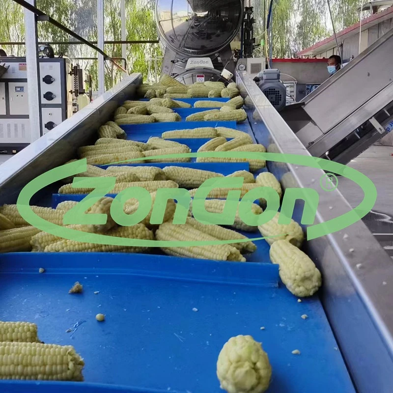 Freezing Line Frozen Sweet Corn production line